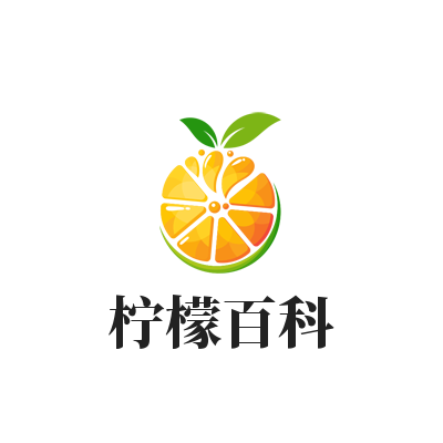 魏佳艺个人资料（关于魏佳艺的简介）